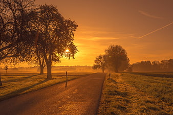 Golden Sunrise Over Rural Country Road With Trees