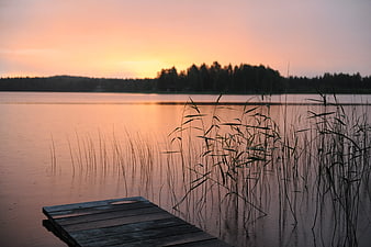 Serene Lake Sunset with Wooden Dock and Reeds