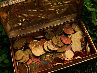 Open wooden treasure chest filled with euro coins on grass
