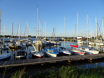Sailboats docked at a marina on a sunny day