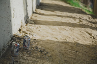 Two Blue Ribbon Beer Cans on Sandy Ground
