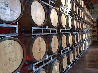 Rows of wooden wine barrels in a cellar