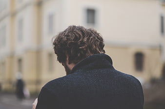 Back view of man with curly hair in city street