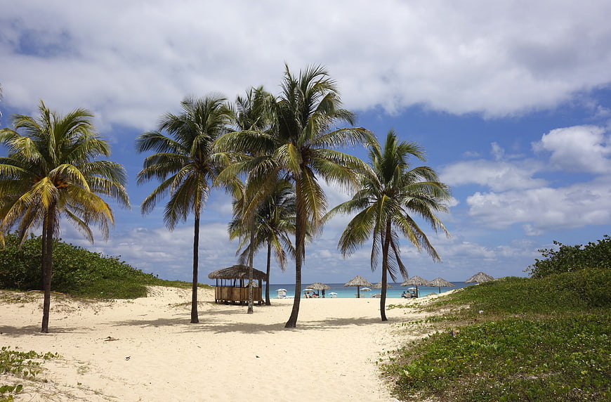Tropical Beach with Palm Trees and Thatched Cabanas