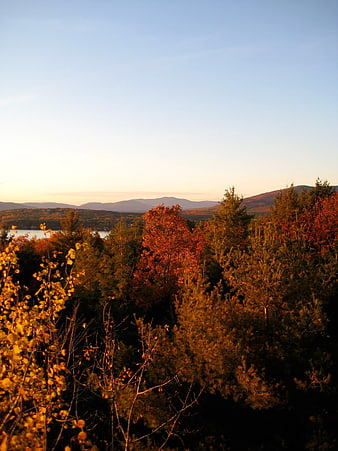 Autumn Forest Landscape with Lake and Mountains at Sunset