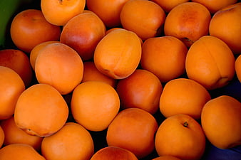 Close-up of Fresh Ripe Apricots