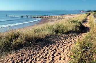 Sandy Coastal Path Leading to Beach with Wooden Groynes