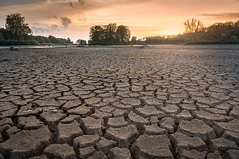 Cracked Dry Earth Landscape at Golden Hour Sunset