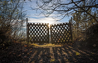 Rustic wooden lattice gate in autumn forest path