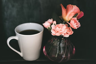 White Coffee Cup and Pink Carnations in Vase