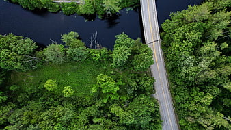 Aerial View of Bridge Crossing River in Green Forest