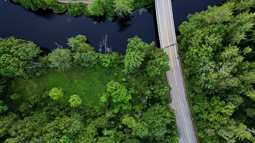 Aerial View of Bridge Crossing River in Green Forest