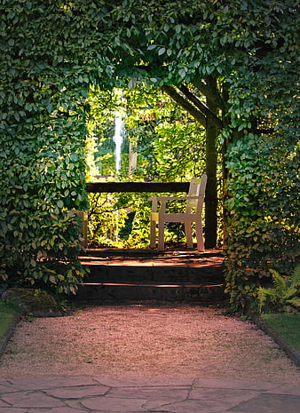 Peaceful Garden Gazebo With White Chair And Lush Green Foliage