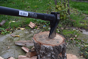 Black Axe Embedded in Tree Stump for Firewood