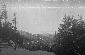 Vintage Black and White Winter Mountain Landscape with Pine Trees