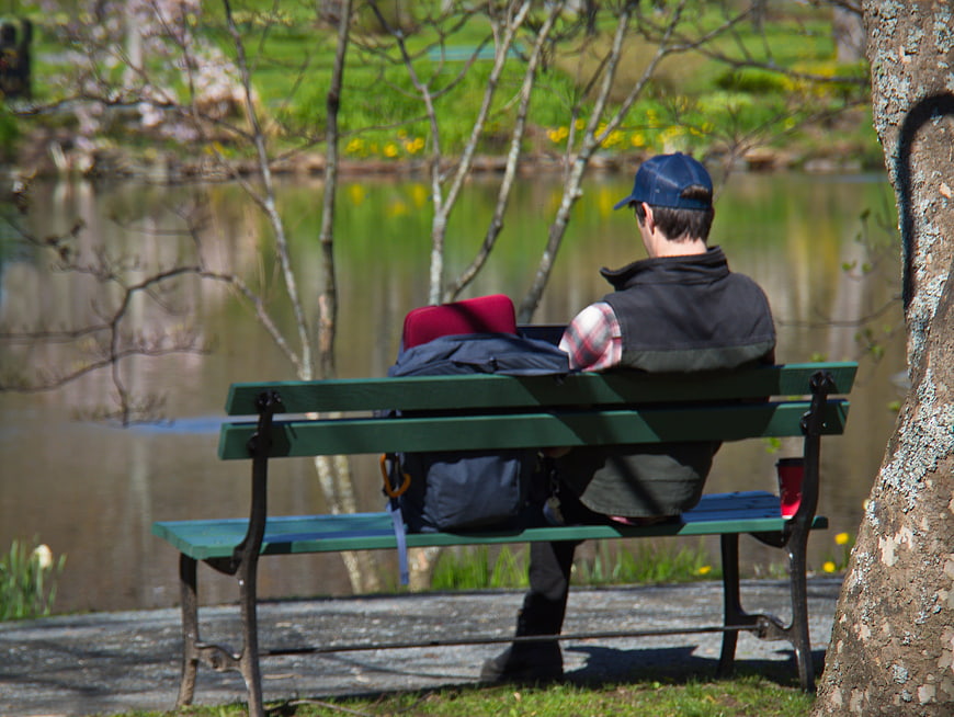 Man sitting on park bench with laptop by pond