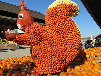 Giant Squirrel Sculpture Made of Pumpkins at Farm Market