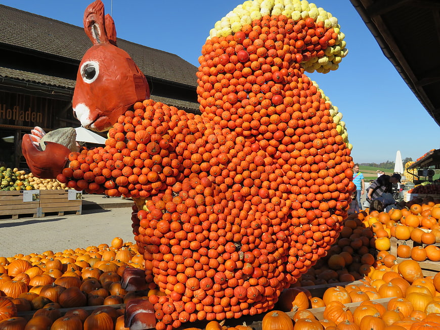 Giant Squirrel Sculpture Made of Pumpkins at Farm Market