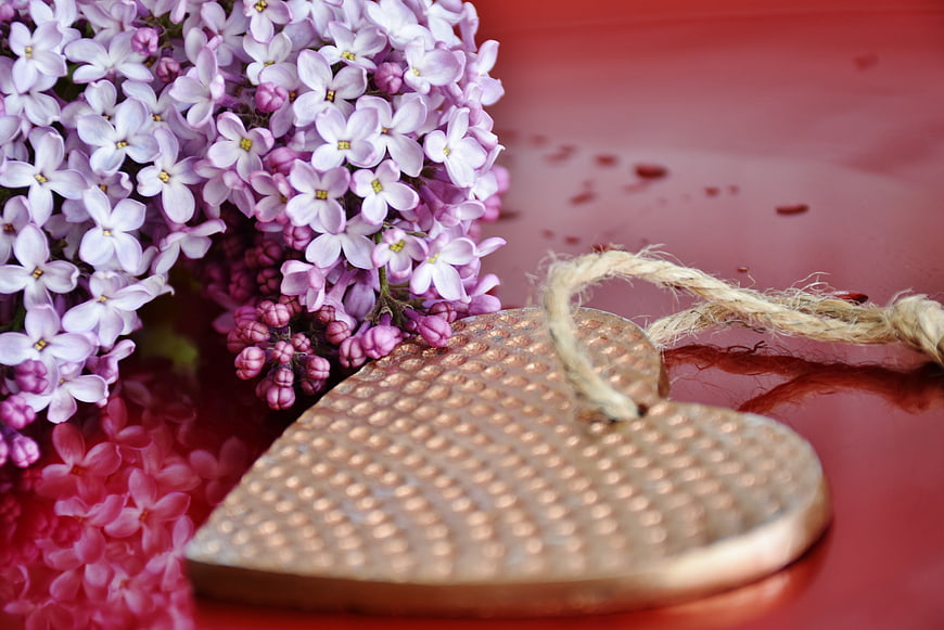 Purple lilac flowers and copper heart on red background
