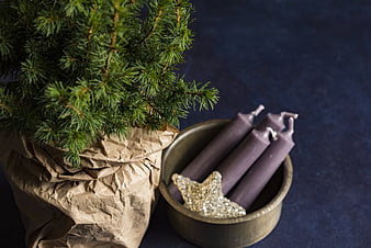 Christmas tree branches and purple candles on dark blue background