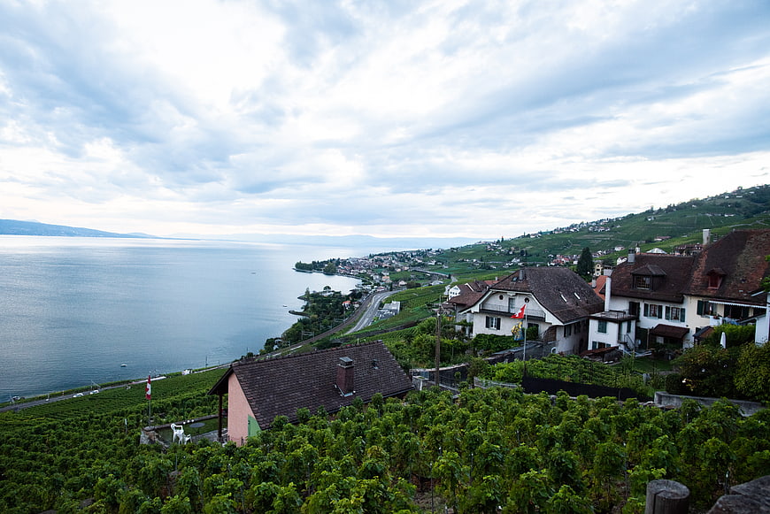 Scenic Swiss Vineyard Landscape Overlooking Lake and Village