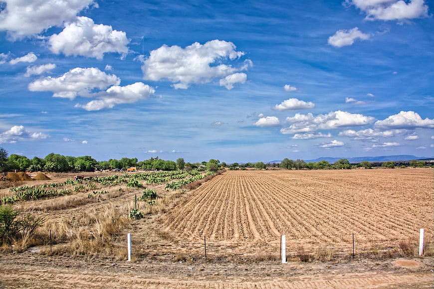 Wide agricultural landscape with plowed field and blue sky
