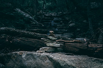 Stacked stones in a dark moody forest with waterfall background