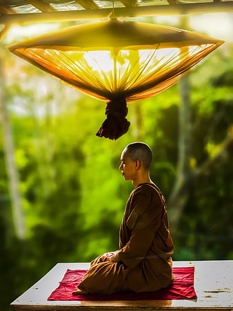 Buddhist monk meditating in profile under a traditional yellow umbrella
