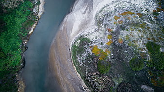 Aerial View of River Meandering Through Forest and Clearcut