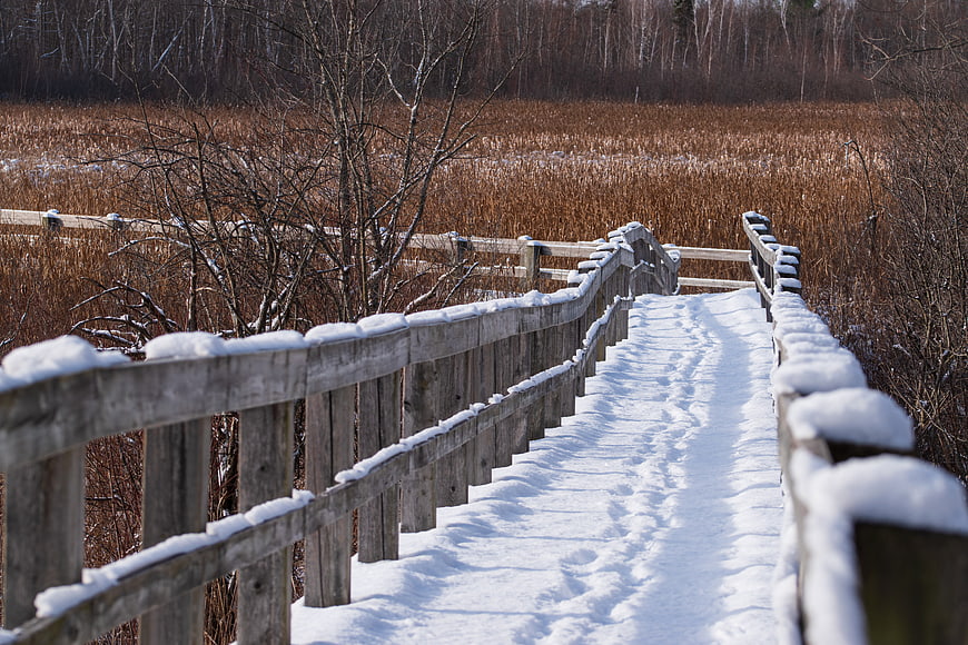 Snowy wooden bridge path in winter landscape
