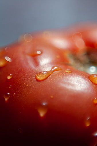 Macro Close-Up of Fresh Red Tomato with Water Droplets