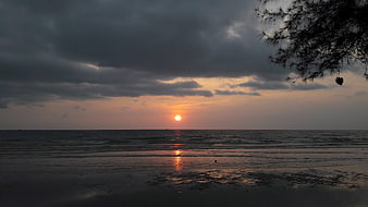 Dramatic sunset over ocean with silhouetted tree branches
