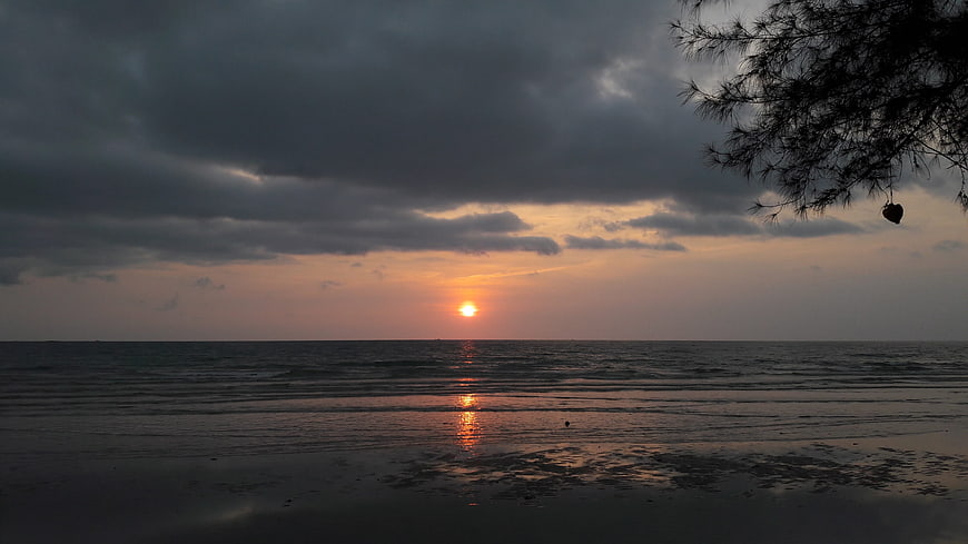 Dramatic sunset over ocean with silhouetted tree branches
