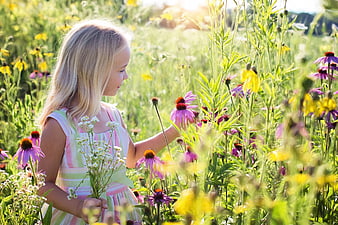 Little Girl Touching Wildflowers in Sunny Meadow