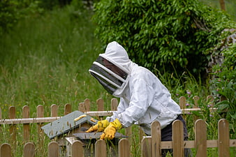 Beekeeper in white suit tending to beehive in green meadow