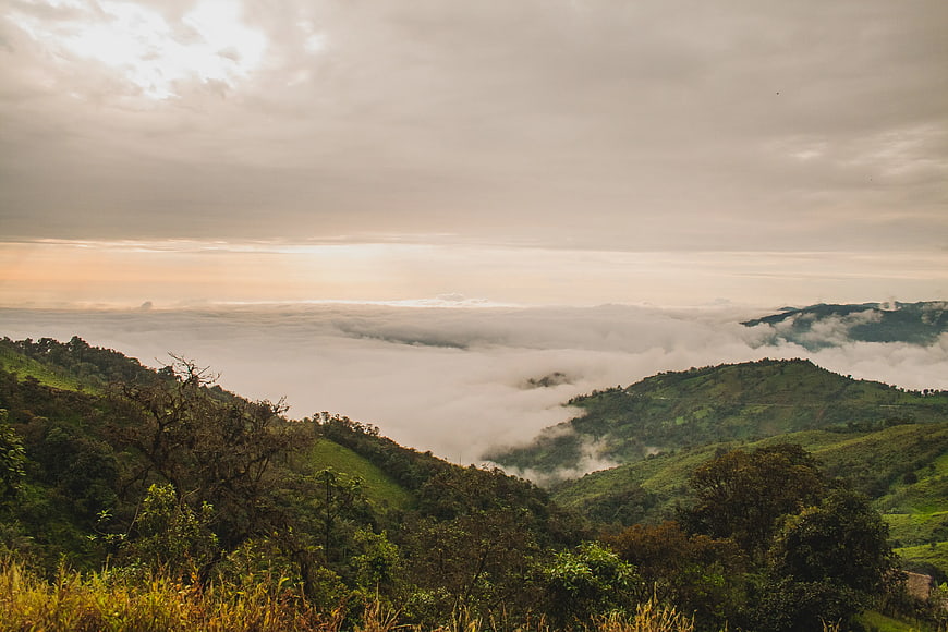 Misty Green Hills Overlooking Sea of Clouds at Sunrise