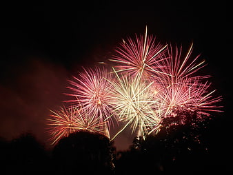 Vibrant red and gold fireworks exploding over dark trees