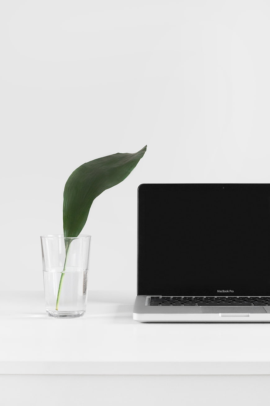 Minimalist workspace with laptop and green leaf in glass
