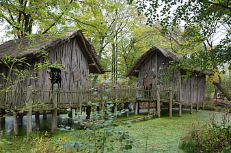 Traditional African Thatched Huts on Stilts in Forest