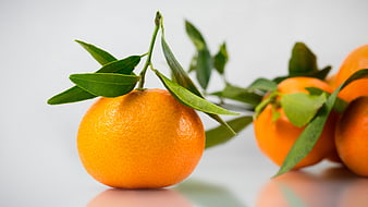 Fresh Mandarin Oranges with Green Leaves on White Background