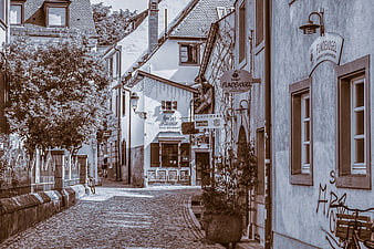 Historic Cobblestone Street in Freiburg with Traditional European Architecture