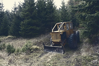 Yellow Forestry Tractor in Pine Forest