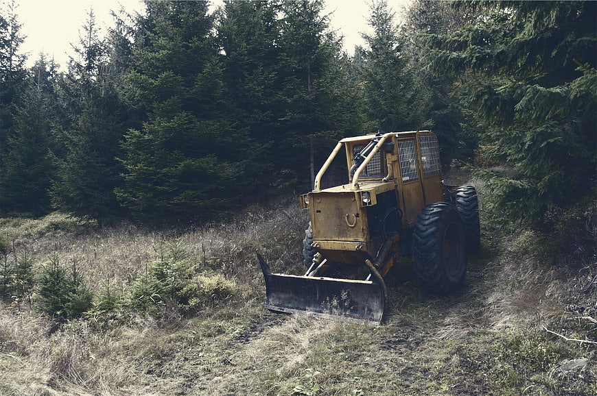Yellow Forestry Tractor in Pine Forest