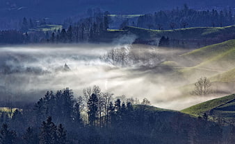 Misty rolling hills landscape with morning fog and trees