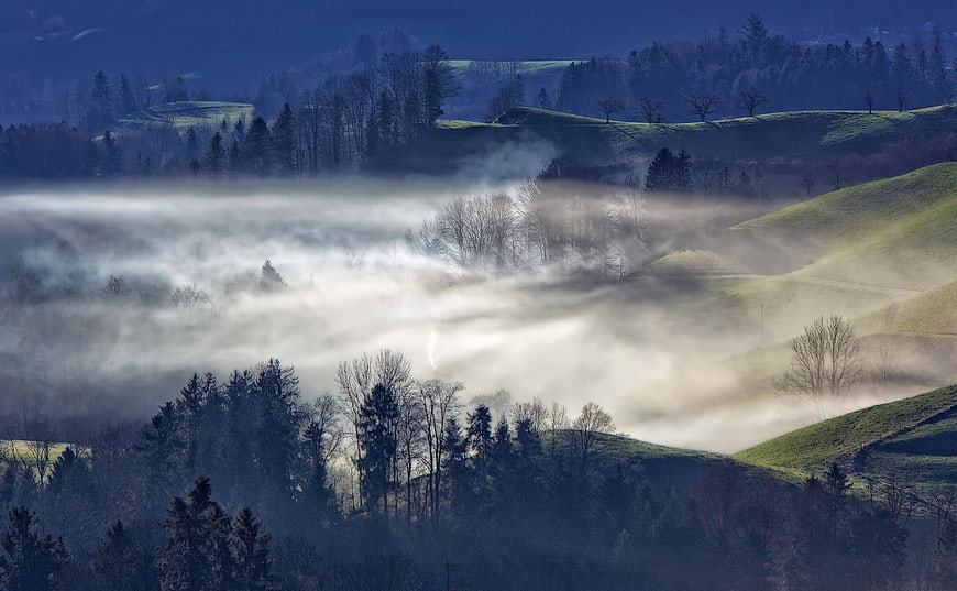 Misty rolling hills landscape with morning fog and trees