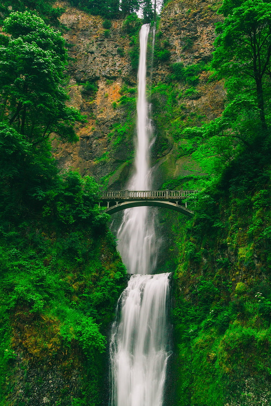 Tall waterfall cascading behind a bridge in lush green forest