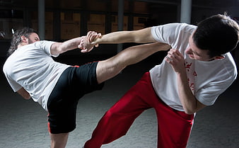 Two Men Practicing Martial Arts Kick and Block