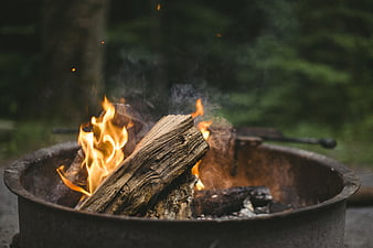 Campfire burning in metal fire pit with forest background