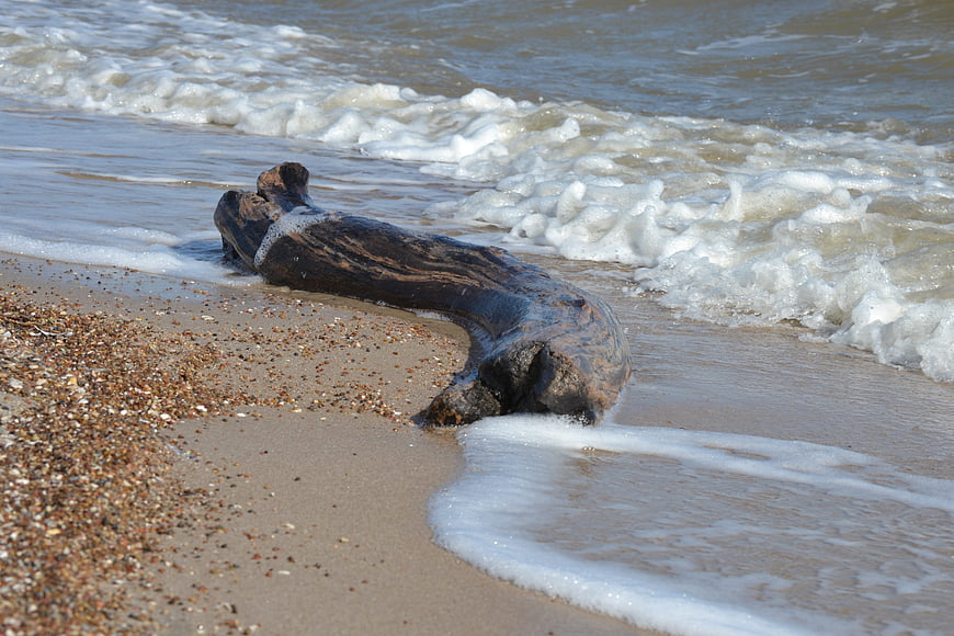 Driftwood log on sandy beach with ocean waves