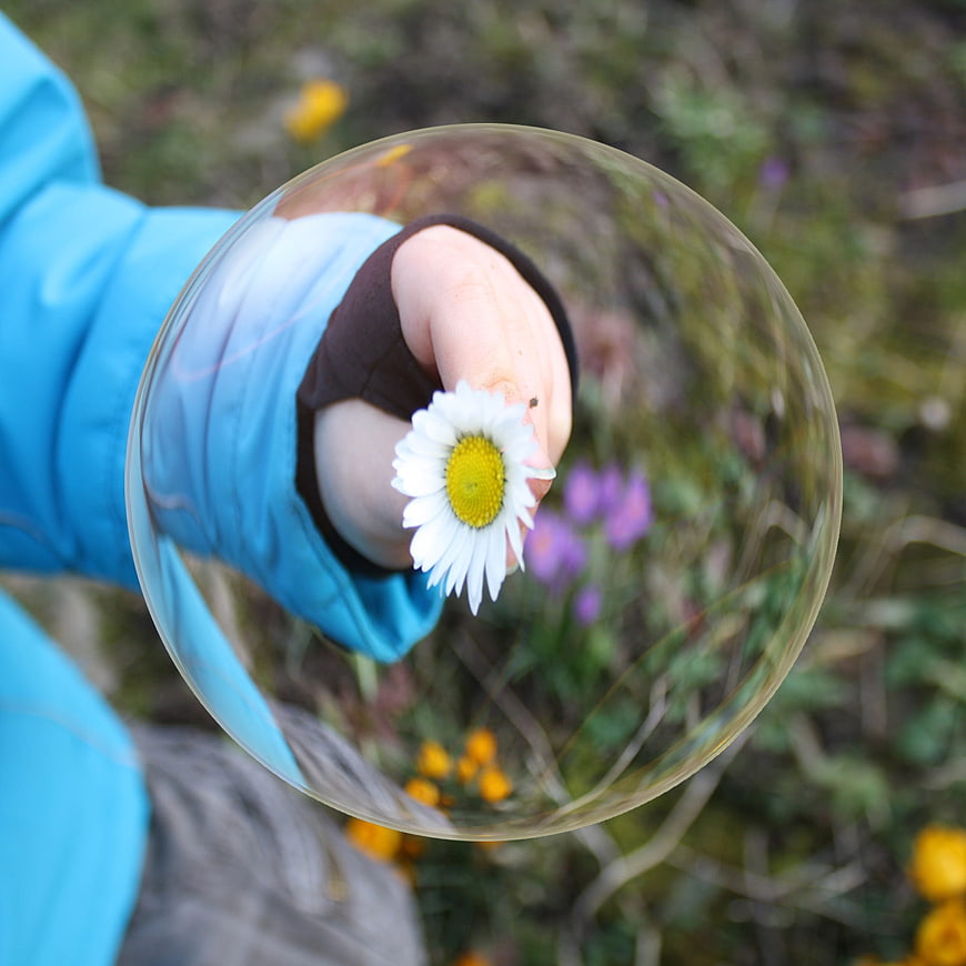Child holding daisy flower inside giant soap bubble
